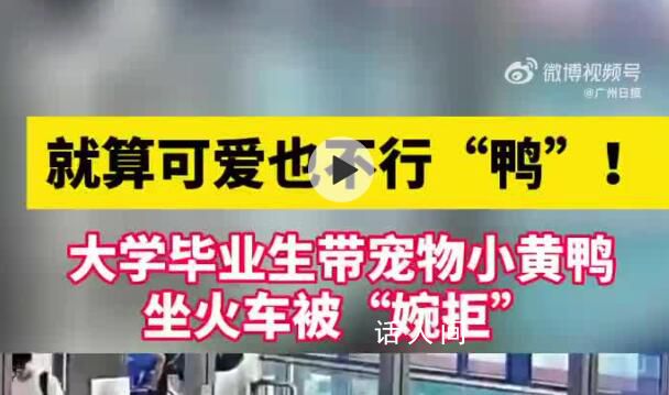 大學畢業生帶小黃鴨坐火車被拒 就算可愛也不行鴨