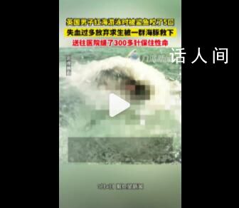 男子游泳被鯊魚襲擊幸有海豚相救 留下了5個(gè)巨大的傷口