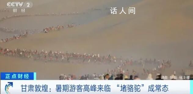 敦煌又雙叒叕堵駱駝了!場面十分壯觀