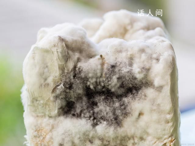 身邊的超級致癌物:黃曲霉菌