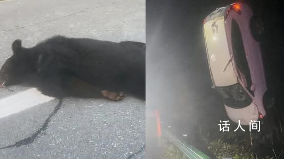 夫妻高速上被黑熊撞翻車致腦震蕩 當地相關部門趕到現場處理