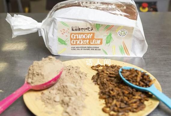 意大利做出蟋蟀面粉 每天大約有100萬只蟋蟀被制成食材