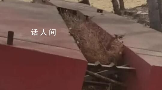 專家:私搭浮橋案應讓群眾感受公平