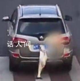 男子炫耀釣到大魚掛后備箱示眾 網友:釣魚佬是這樣的