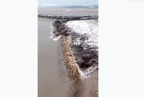 錢塘江現(xiàn)滾筒潮 江面仿佛滾筒