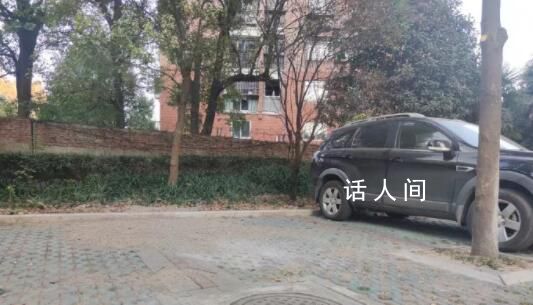 副教授遇害案一審:被告人患精神疾病