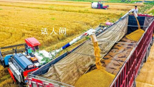 今年夏糧實現豐收 今年全國夏糧產量2923億斤