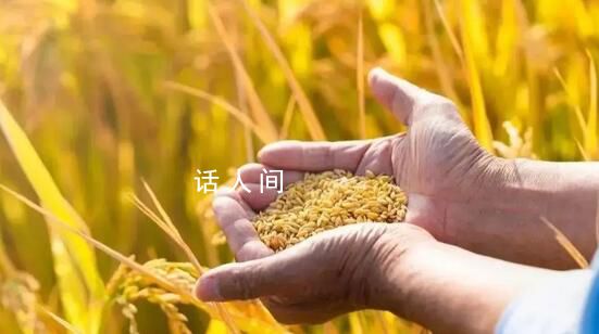 奮力夯實糧食安全根基 著力打造高產(chǎn)樣板區(qū)強化農(nóng)業(yè)基礎(chǔ)設(shè)施建設(shè)