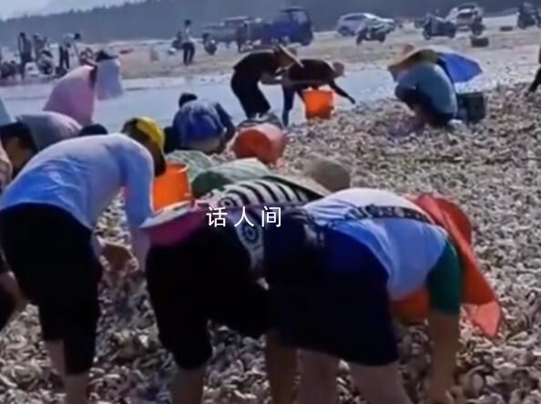 臺風(fēng)送來大量生蠔海鮮 市民拎麻袋裝