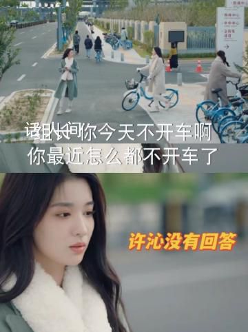 許沁不敢向同事坦誠沒車了 許沁的角色行為引起熱議