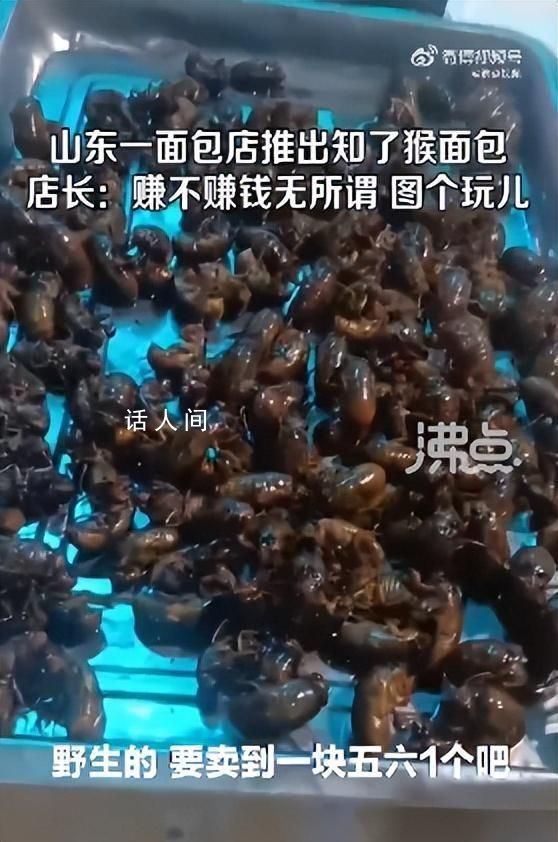 山東一面包店推出知了猴面包 售價29.9元