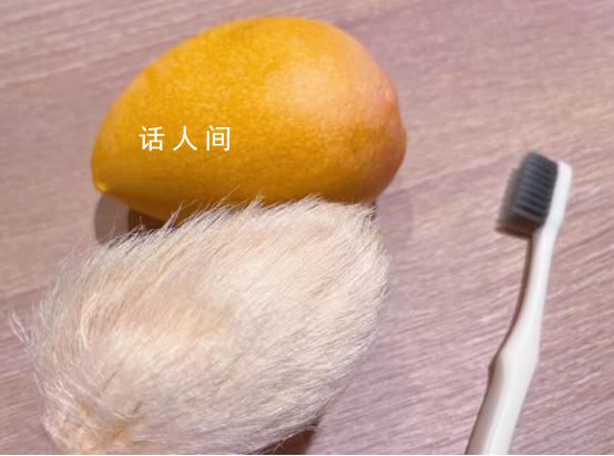 年輕人給芒果核梳毛被指不務正業 精神寄托類似大學生養紙狗