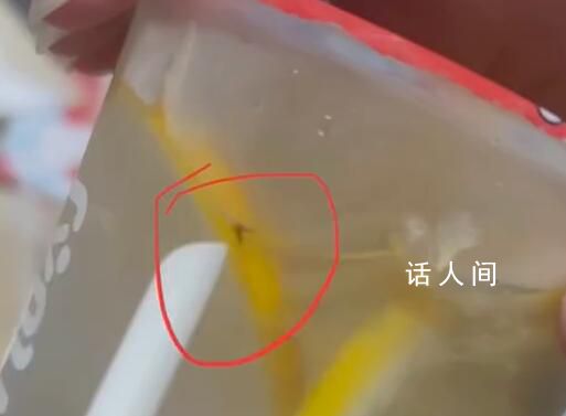 女子買蜜雪冰城接連3杯都有蟲 店長：已和顧客溝通處理會道歉賠償