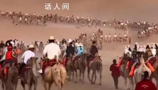 敦煌景區駱駝“罷工”?駝戶回應