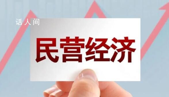 促進民營經(jīng)濟做大做優(yōu)做強 依法依規(guī)為其解難題辦實事