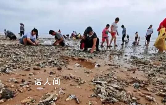 臺風送來“生蠔灘” 市民成桶往家扛