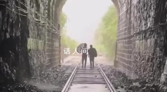 K396脫困乘客:走鐵路鉆樹林9小時