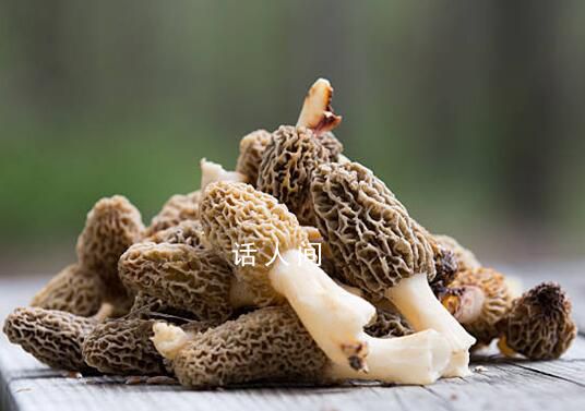 網友用AI還原吃菌子中毒后的世界 光怪陸離令人頭暈目眩