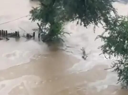 河北蓄滯洪區住房按水毀損失70%補償