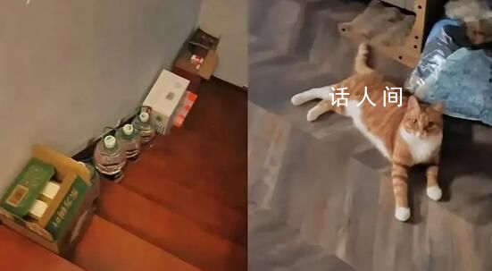 女子疑接泄洪撤離通知稱“就不撤” 誓死和貓咪在一起