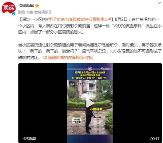 男子射殺流浪貓被質問時囂張承認 實在是令人發指