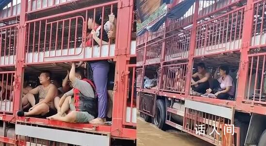 涿州洪災(zāi) 拉豬大貨車變“諾亞方舟”