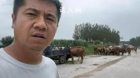 五常農(nóng)民:水稻全完了 淹了三個鄉(xiāng)鎮(zhèn)