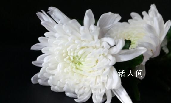 北京門(mén)頭溝龍泉鎮(zhèn)副鎮(zhèn)長(zhǎng)救災(zāi)中遇難 劉捷簡(jiǎn)歷個(gè)人資料