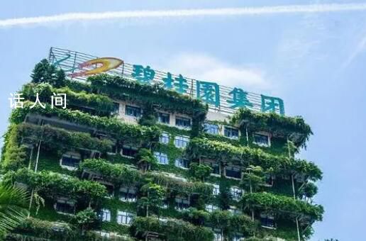 碧桂園否認佛山副市長帶隊進駐 傳言不屬實