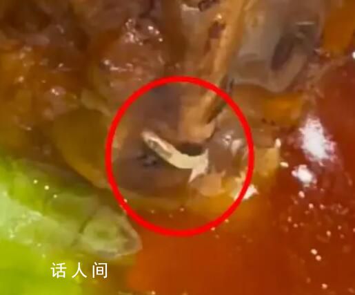 女子稱四星級酒店肘子中躥出活蛆 一定要查清楚給大家一個(gè)說法