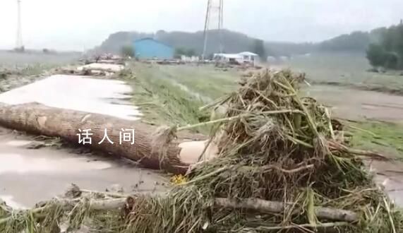 吉林舒蘭暴雨已致14人遇難 1人失聯(lián)