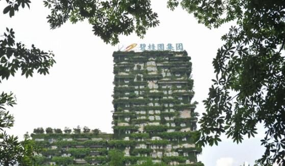 房企碧桂園提出四大自救措施 遭遇成立以來最大困難