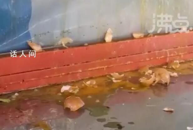 太原罵人水果撈攤位被扔雞蛋 附近有商戶表示因此受到牽連