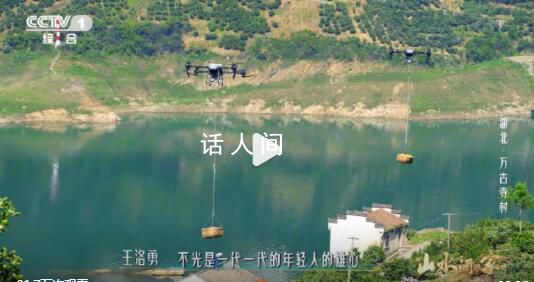 湖北一村莊無人機運橙子好壯觀 湖北這個村有運橙小火車