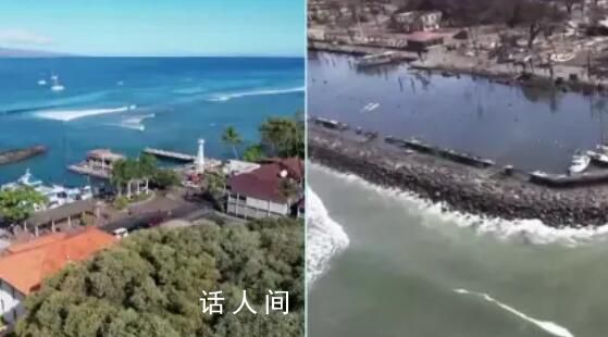 航拍對比夏威夷毛伊島火災前后 樹木房屋悉數燒毀