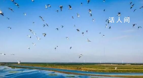 盤點中國生態“成績單” 綠水青山就是金山銀山