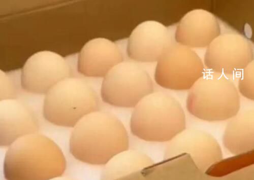 全國多地雞蛋價格漲至5元以上 今年啥時候掉下五塊了