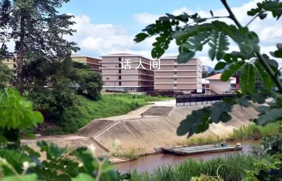 揭秘泰緬邊境詐騙窩點(diǎn) 有員工超2萬