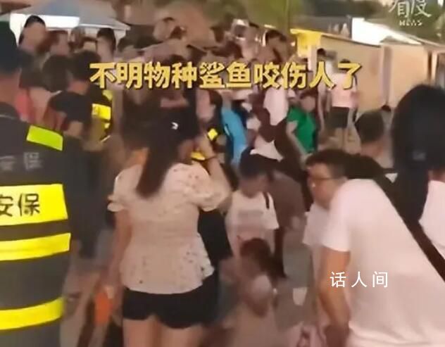 科普博主談北海咬傷游客事件 可能是海鱔或海鰻