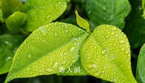 超長三伏天終于結束了 40天三伏天正式結束