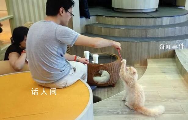 關于愛情真相的對話 愛情故事對話形式