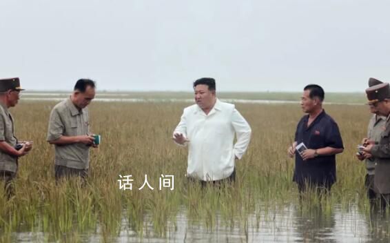 金正恩半身踩進稻田視察救災重建 點名批內閣總理金德訓