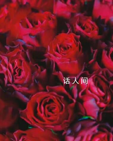 你有七夕搭子了嗎 8月22日是七夕情人節