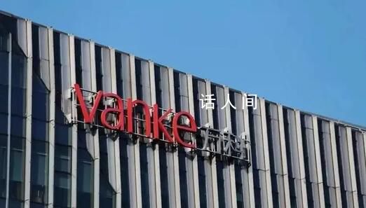 萬科董事會主席:房地產跌過頭了