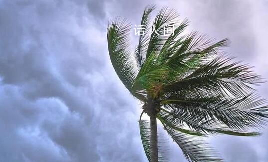 直擊超強臺風蘇拉 廣東福建沿海將有狂風暴雨