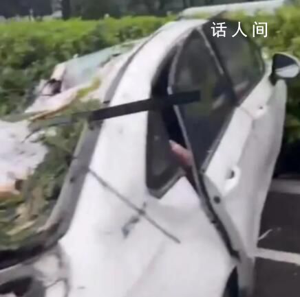 臺(tái)風(fēng)吹倒大樹砸中汽車致1死2傷 風(fēng)雨影響仍將持續(xù)