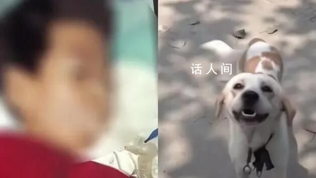 男童被鄰居家狗抓傷確診狂犬病離世 男孩母親痛哭流涕后悔不已
