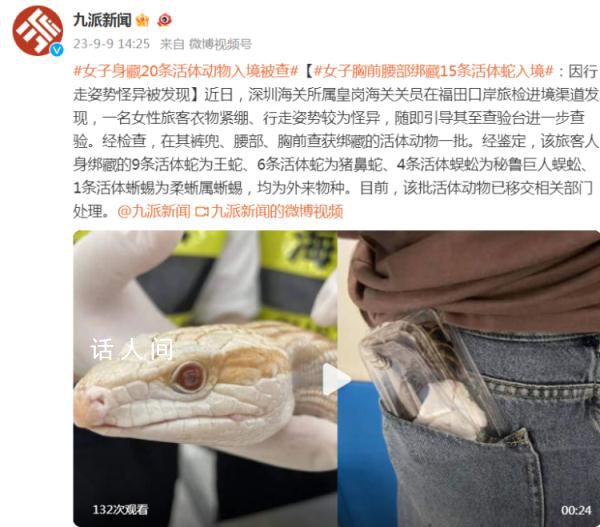 女子胸前腰部綁藏15條活體蛇入境 已移交相關部門處理