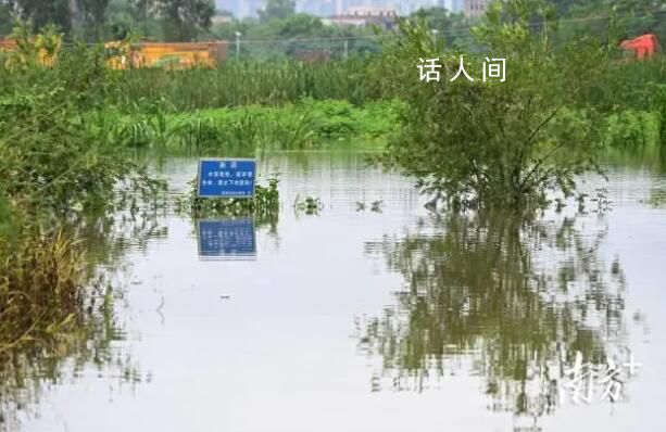 養殖場疑多條鱷魚出逃 民兵稱將擊斃