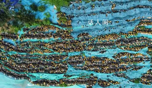 石家莊已至少形成4個(gè)“單車(chē)墳場(chǎng)” 共享電單車(chē)市場(chǎng)陷入一場(chǎng)亂戰(zhàn)